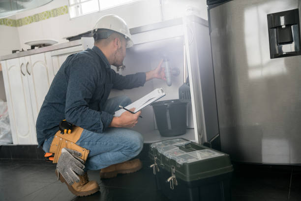 Best Clogged Drain Plumber  in Nephi, UT